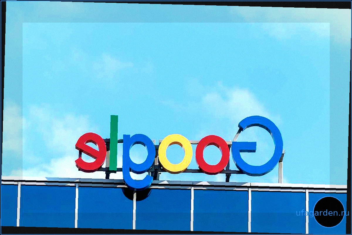 Google планирует масштабный выпуск стерильных комаров для борьбы с вирусными заболеваниями