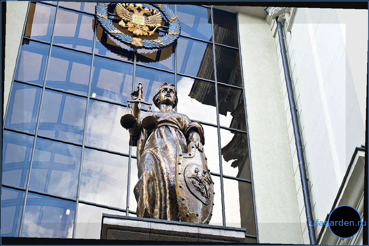 Верховный Суд РФ: Критерии Определения Лидера Преступного Сообщества
