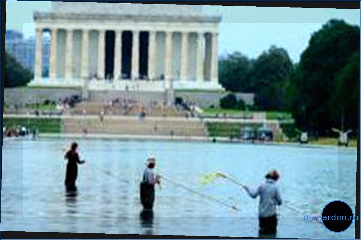 Former Olympian denies vandalising Washington Reflecting Pool after arrest