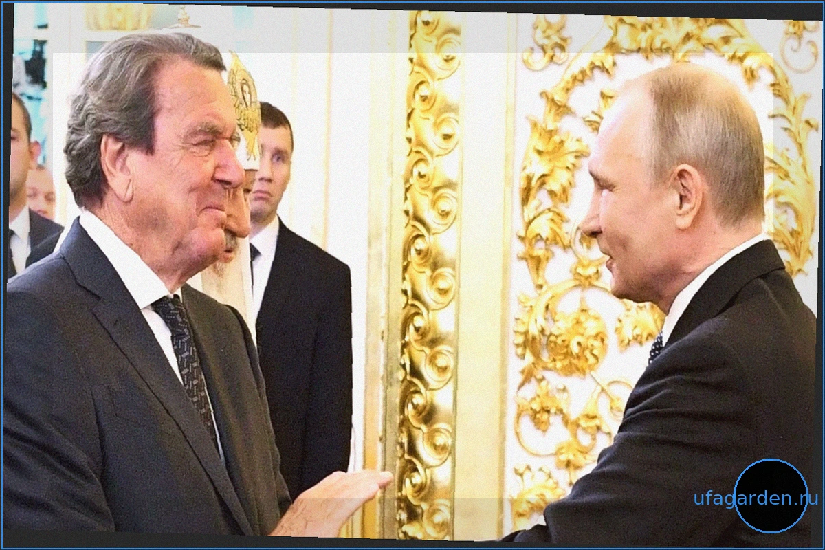 Война в Украине: Кремль назвал «хорошим и дружеским» разговор Путина со Шрёдером