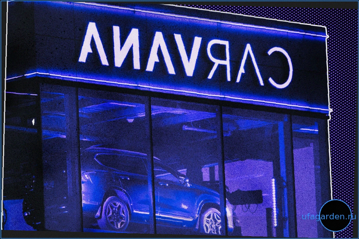 Carvana выходит на рынок новых автомобилей, бросая вызов традиционным дилерским центрам