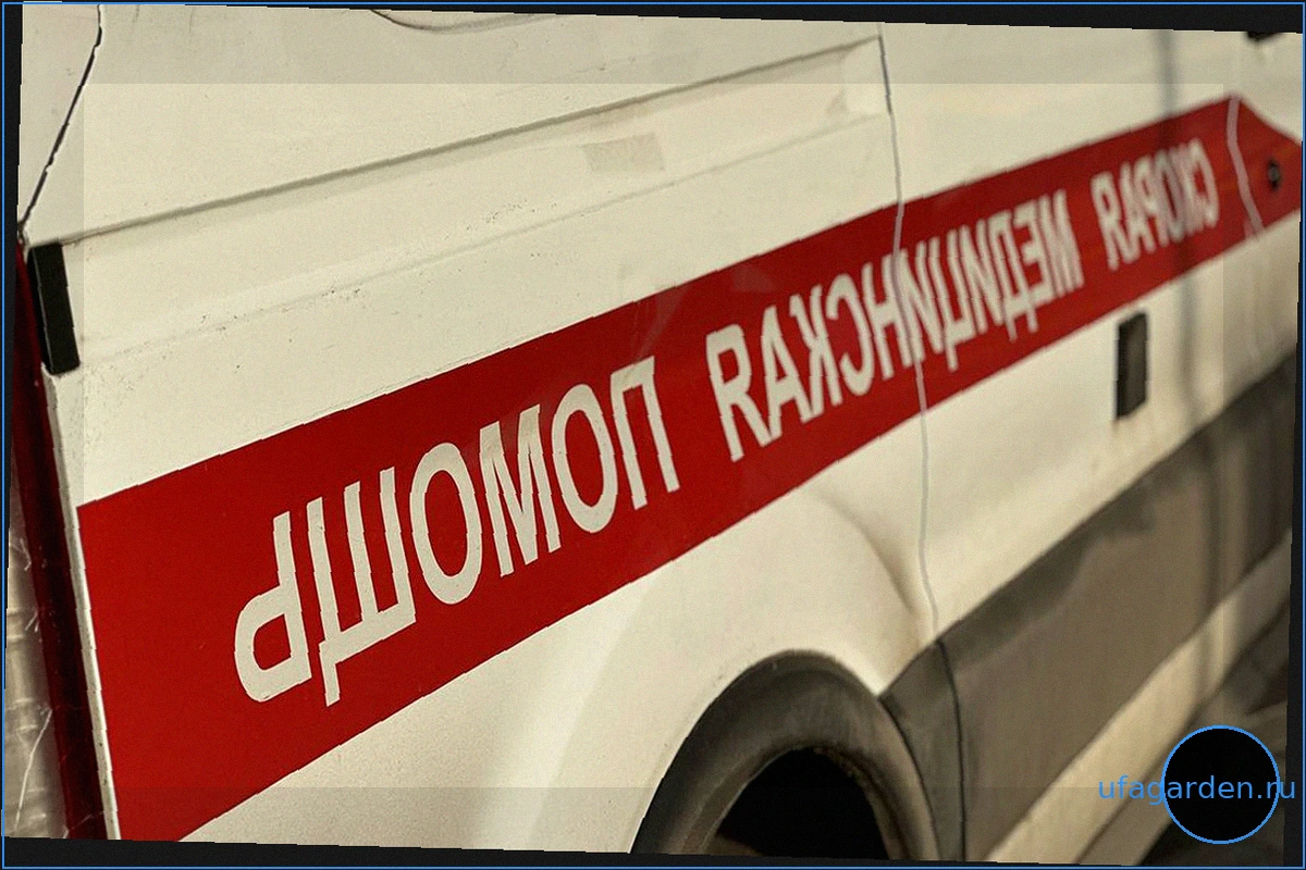 Взрыв на заправке в Пятигорске: Шесть человек пострадали