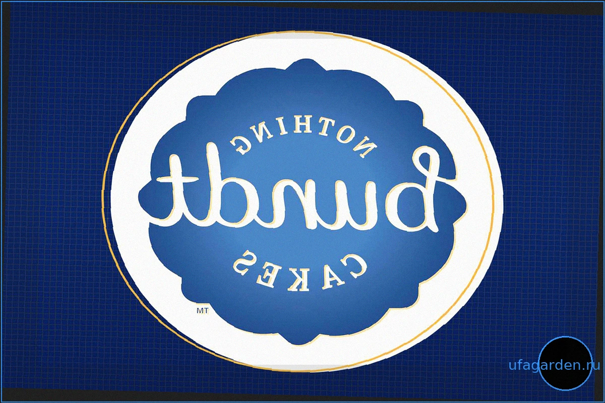 Nothing Bundt Cakes: Франшиза пекарен стоимостью $2 млрд растет к 1000 магазинам с философией «меньше — значит лучше»