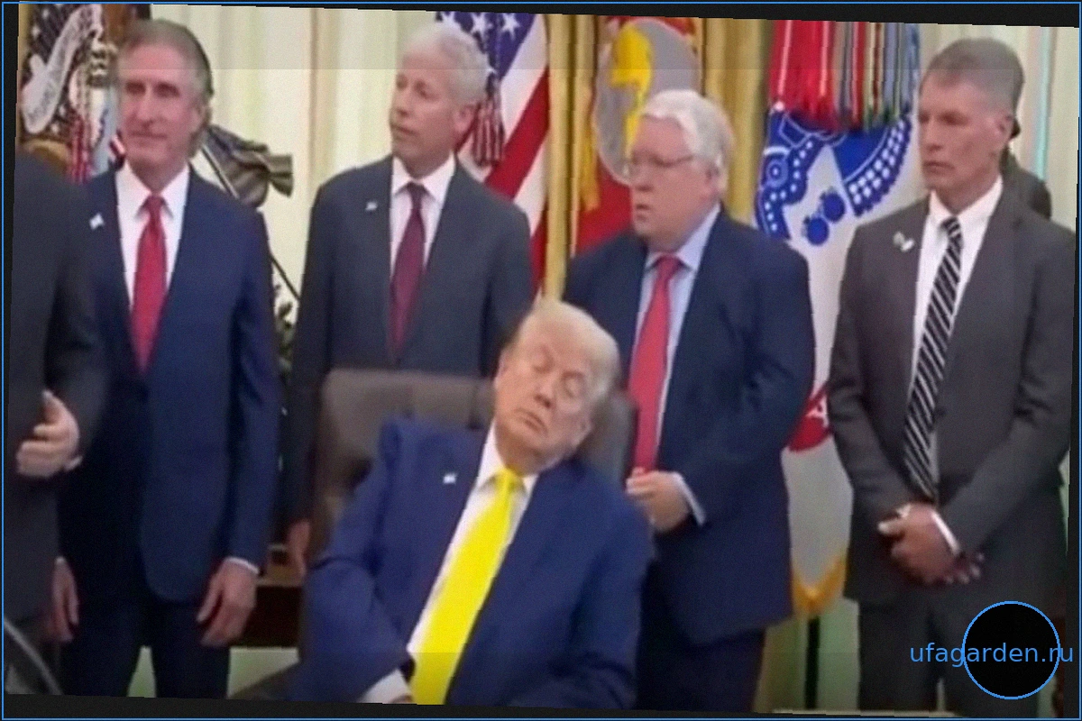 Врач Адам Джеймс Высказал Версию Об Инсульте У Трампа Во Время Брифинга