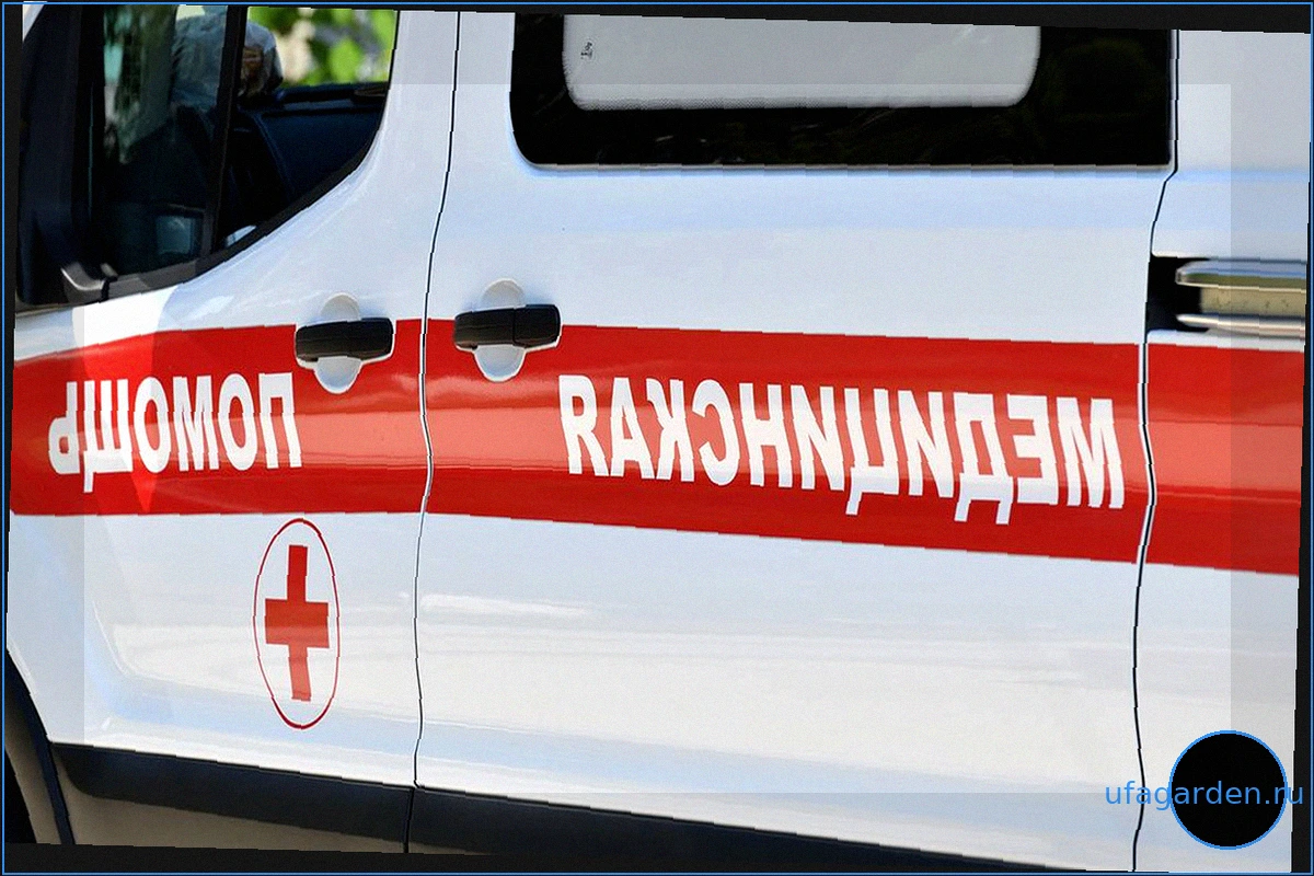 Атака ВСУ на Унечу: Погибли два сотрудника предприятия в Брянской области