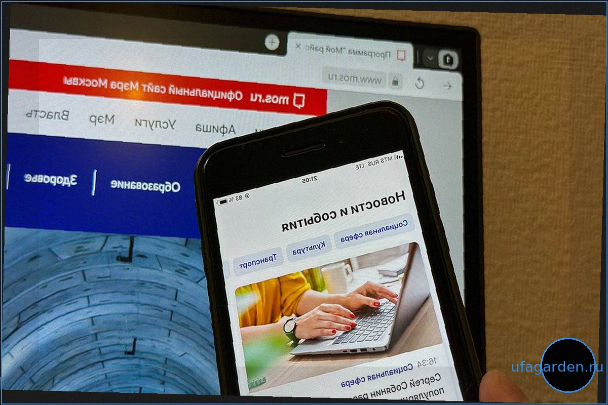 Экономист Андрей Бунич: Проект mos.ru "Навигатор по налогам" поможет выйти из "серой" зоны и защитить работников