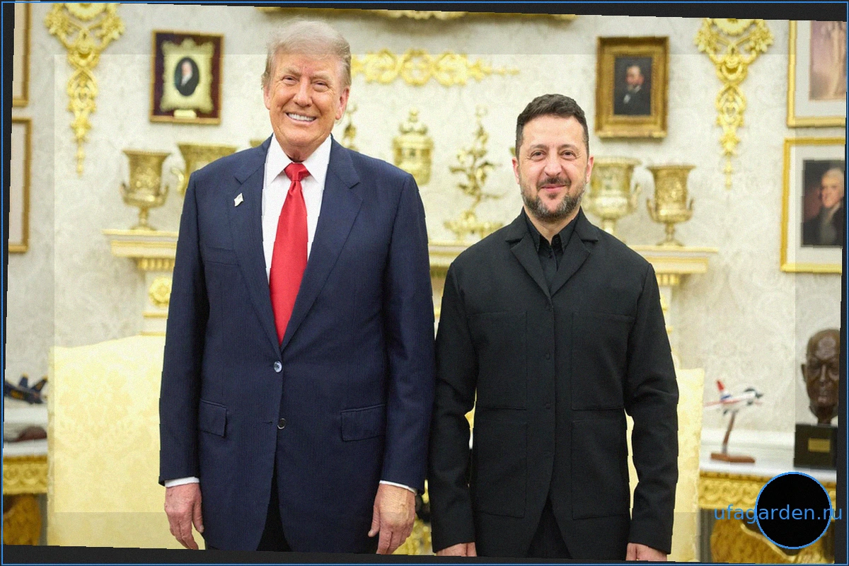 Переговоры в Вашингтоне: Трамп принял Зеленского и Нетаньяху