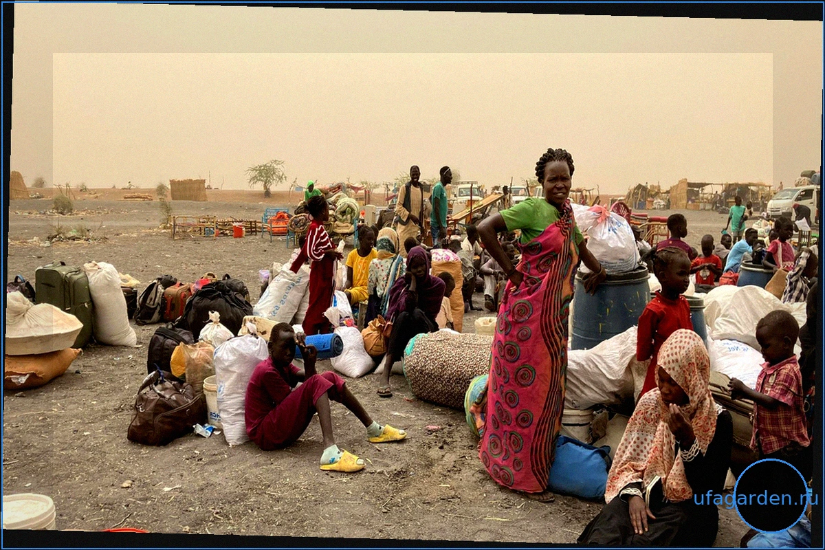 Weltflüchtlingstag: Sudanesen in Kairo zwischen Angst und Hoffnungslosigkeit