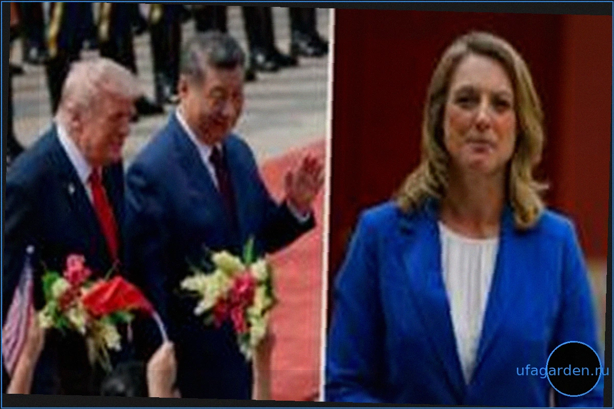 Что мы узнали из визита Трампа в Китай?