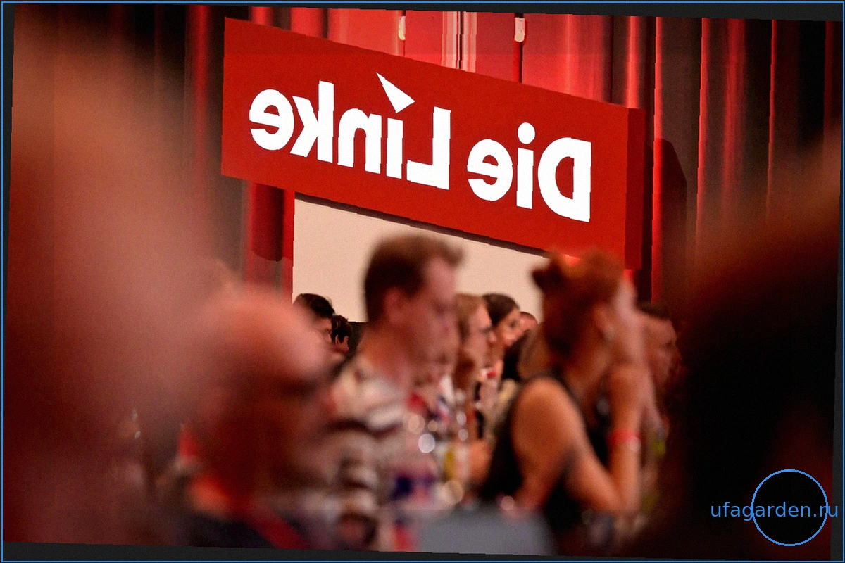Die Linke deckelt Diäten für ihre Abgeordneten auf 5.300 Euro brutto