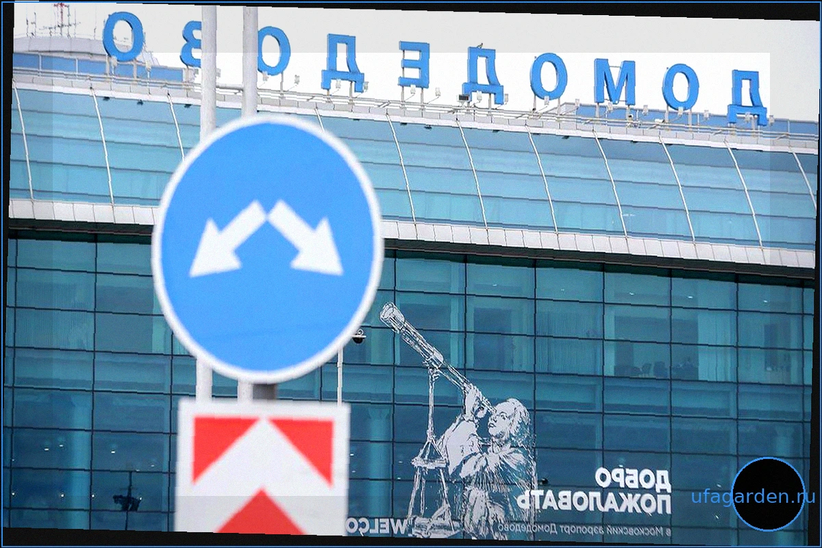 Ограничения на полеты сняты в аэропортах Домодедово и Жуковский