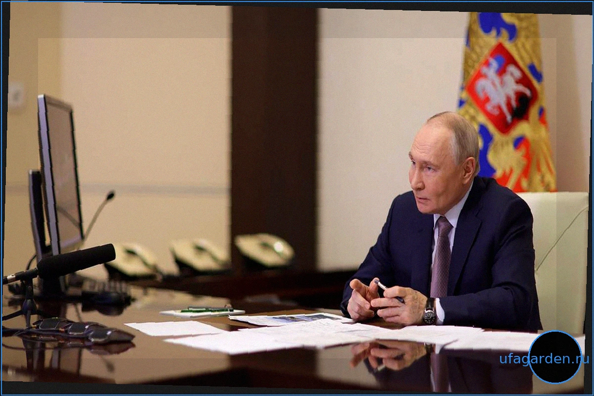 Путин поддержал учреждение Дня детской книги в России 26 марта