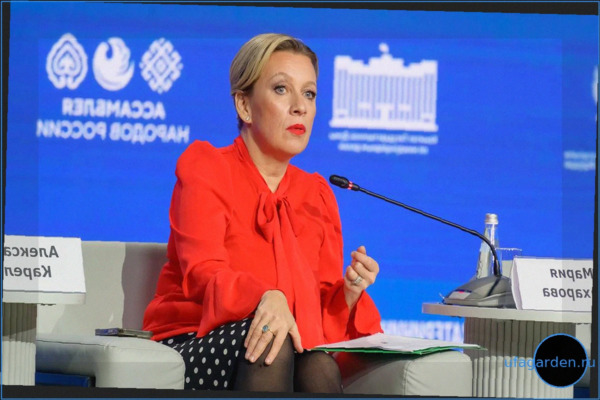 Захарова: "Мясной нож" Киева и Запада впивается в жителей Украины