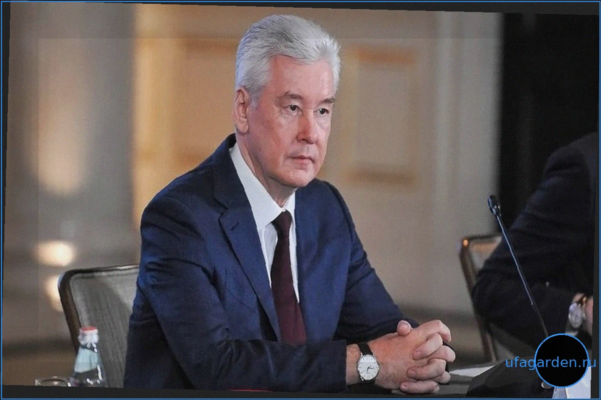 Собянин: Число учеников предпринимательских классов в Москве выросло в 8 раз