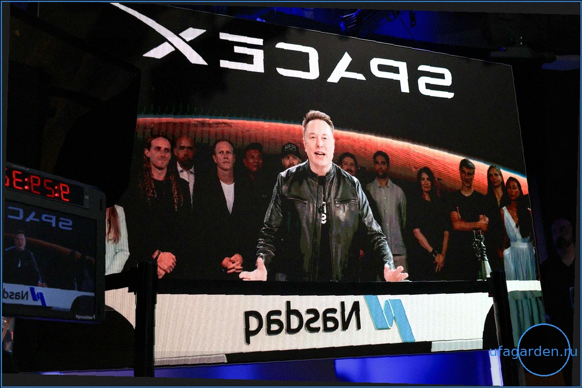 SpaceX и перспективы IPO: рискованная ставка на ракеты, спутники и дальновидные планы