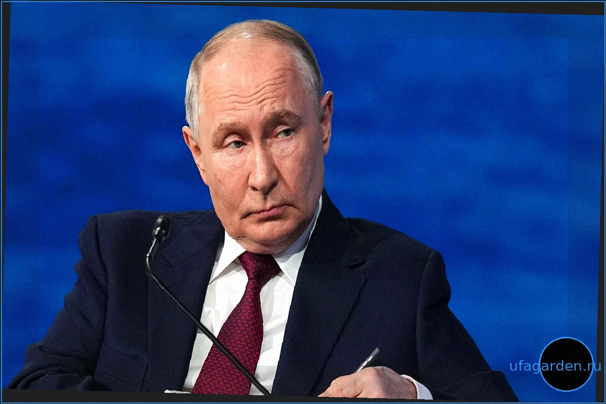 Зеленский предложил Путину встречу для мира, но Кремль отказался от переговоров