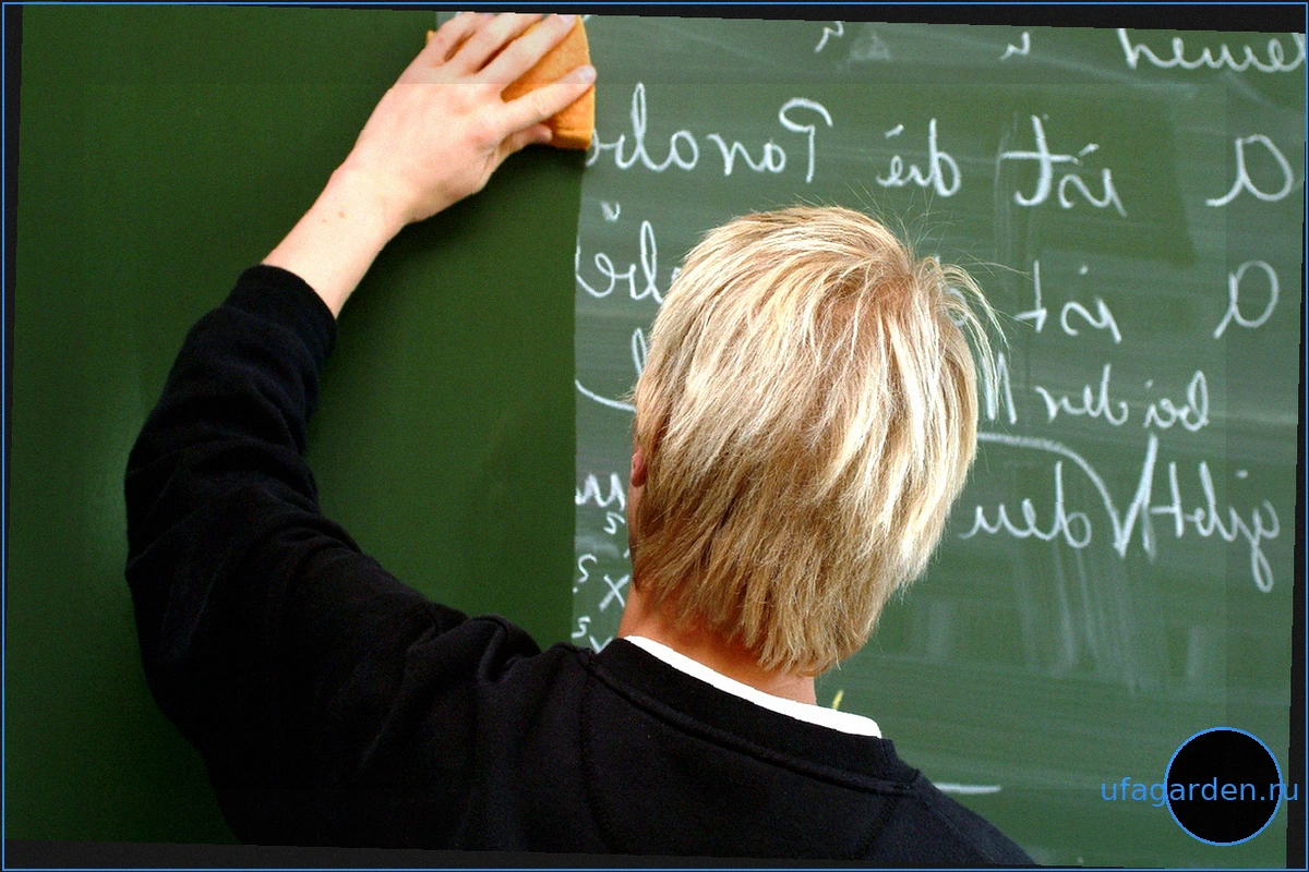 Меньше уроков в 55: Возрастное снижение нагрузки для учителей должно быть отменено